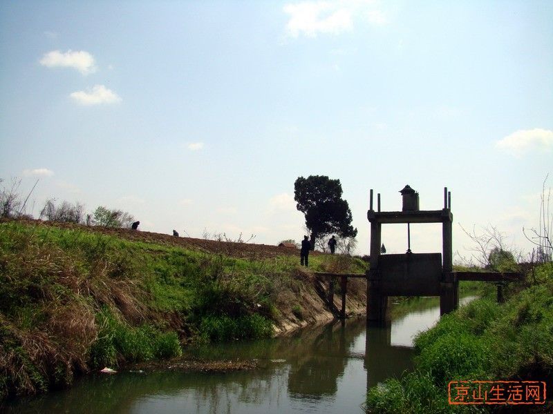 屈家岭文化遗址_360百科