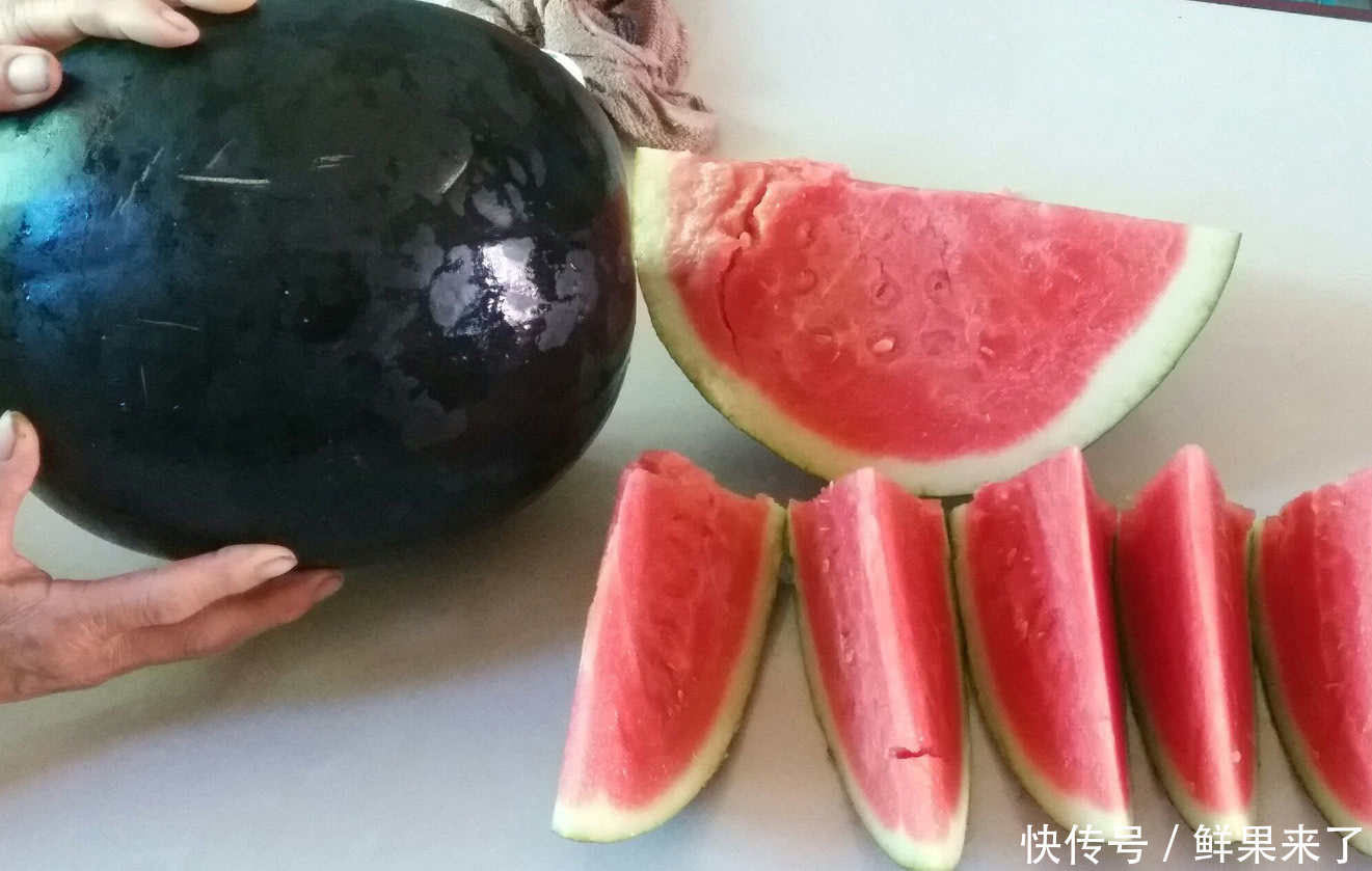 日本北海道西瓜3万元一个,到底有啥不一样?答案让人瞠目结舌