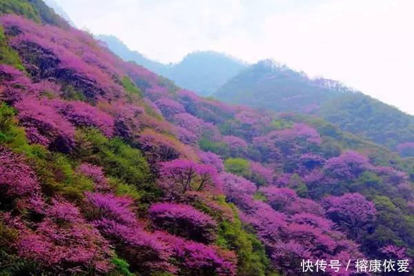 户县人口有多少_户县离兴平有多远地图