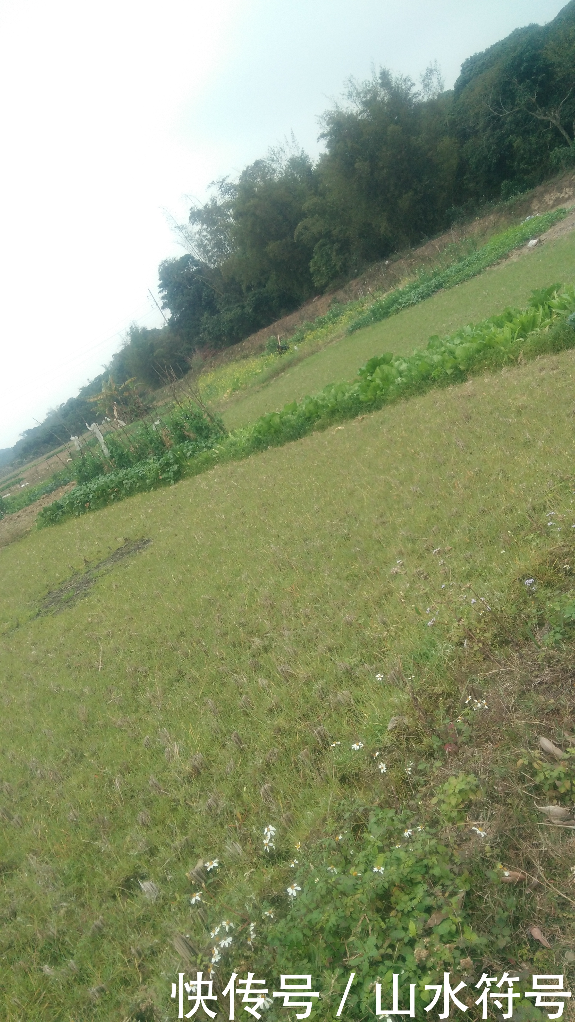 春节后的农田景象广西浦北县白石水