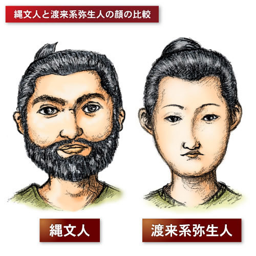 绳文人与弥生人的区别