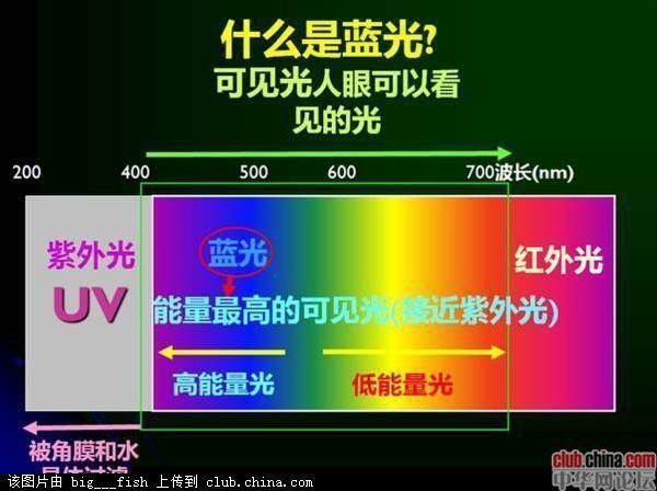 因此,对于我们正常人而言,阻隔蓝光长时间照射是减少损伤最有效