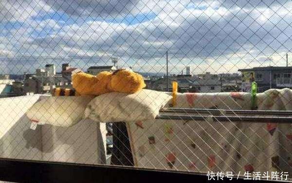 想要祛除枕头螨虫?那就试试这几招,再也不怕有