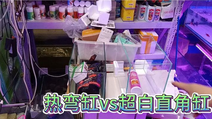 12米魚缸多少升水正常（12米魚缸多少升水正常呢） 其他品牌魚缸