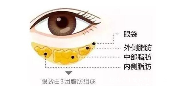 为什么眼睛基弧大,眼睛基弧8.2