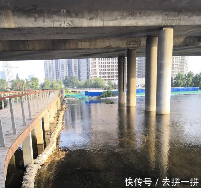 看了下面这些画面, 你就知道青岛这座城市为何如此干净了