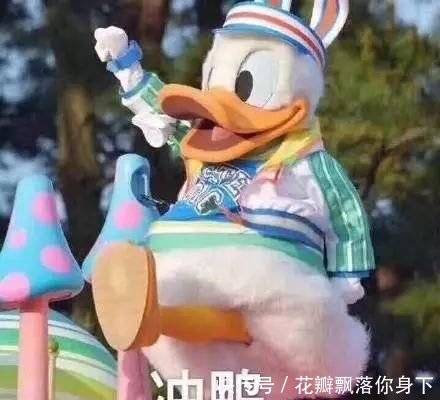 投票第1天!最新排名--2018暑期最受欢迎明星榜