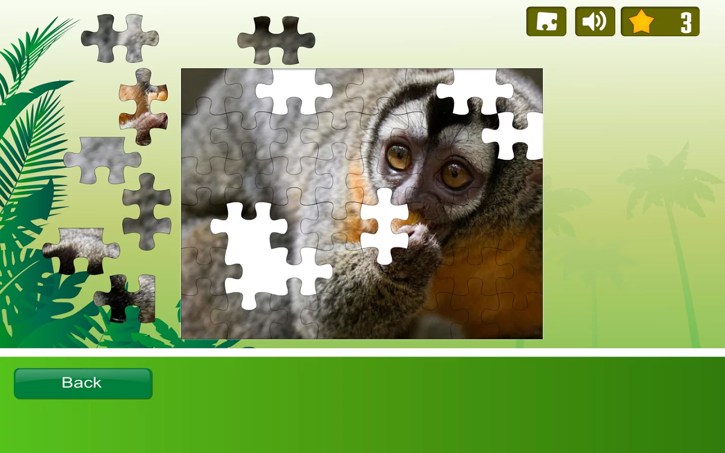 Rainforest Animals Puzzle截图3