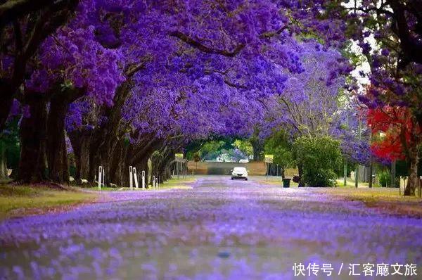 江一燕流连忘返的圣地，探险家的乐园，这个国度终于落地签啦！