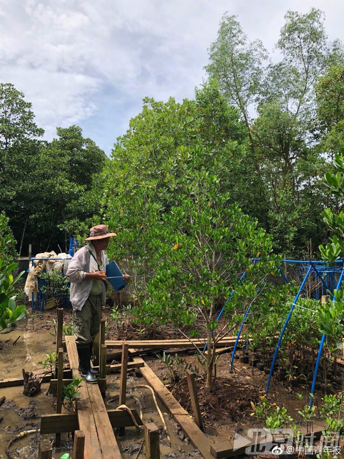 为了保护这种濒危植物，他退休后又回到了工作岗位上