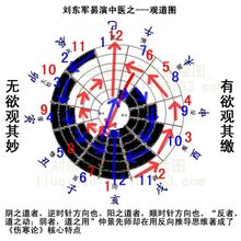 目前,易演中医中最具代表的研究是《刘东军易演伤寒论》