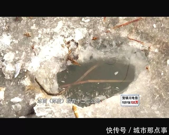 近期银川升温,冰上v鲳鱼还不a鲳鱼,迫不及待的你鲳鱼烤烤箱的柠檬做法图片