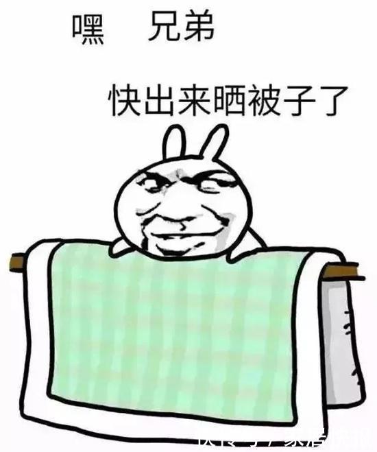 晒被子的那点事?晒被子的太阳味是螨虫尸体