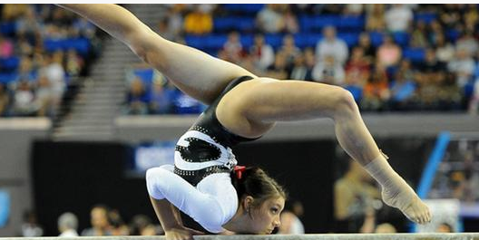 t0168eac0c0a5ceddf0.png?size=528x265