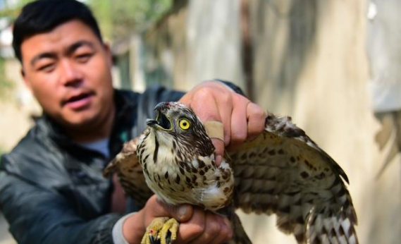 责任和义务的区别