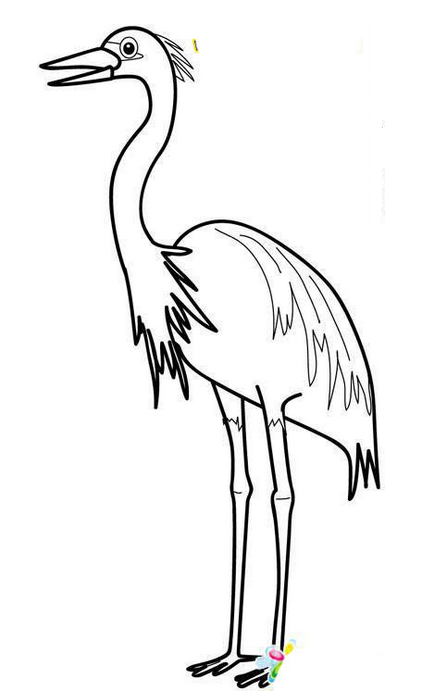 怎么画白鹭(铅笔画)简笔画图片_360问答