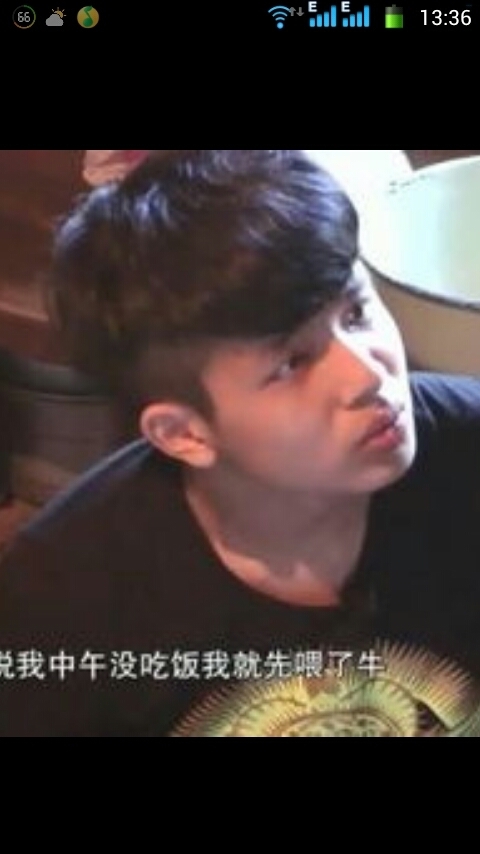 这是什么发型。变形计林宗德的头发是什么发型