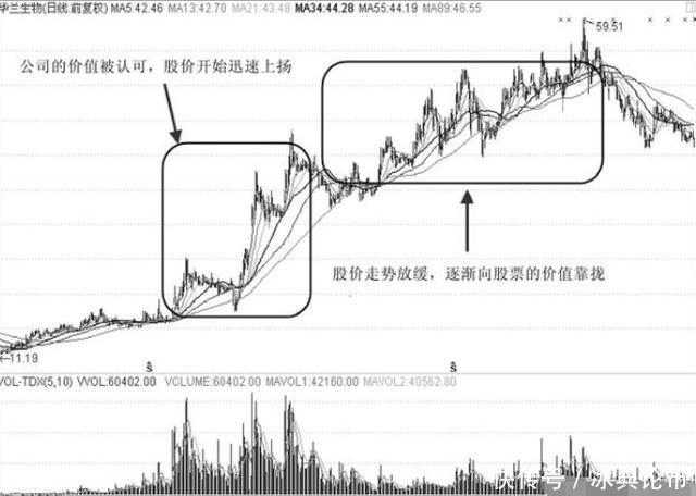 一位亏损百万老股民的挥泪自省：假如当初我没有炒股！