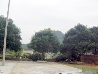 乡镇概况 南圩镇位于隆安县中部偏西南,东与城厢镇为界,南邻屏山乡