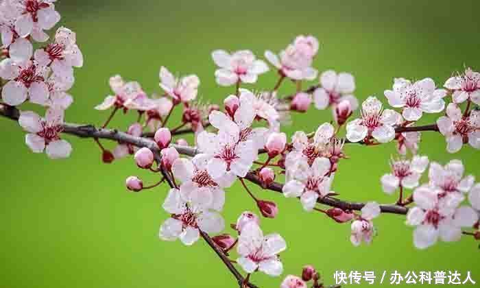 优酷KUX 1080转码工具