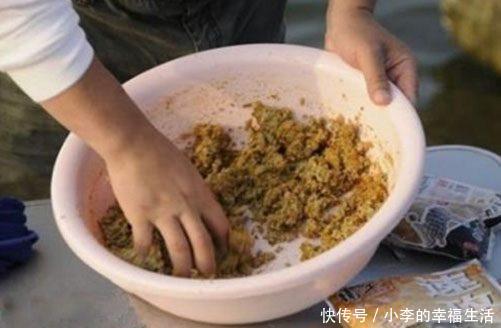 新手钓鱼入门的基本功,勤加练习中鱼 so easy!