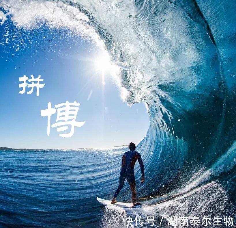 每个人都在用力奔跑,你有什么理由不努力