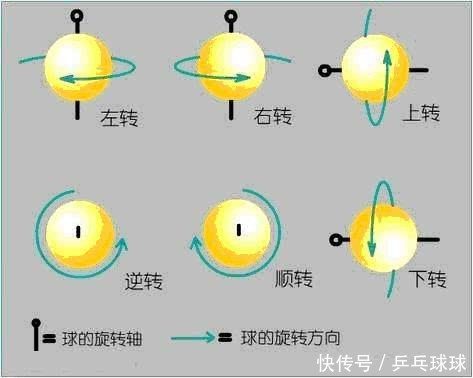 从零开始学乒乓球(9)乒乓球的旋转浅谈 懂这些