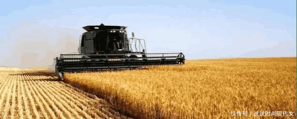 t016de0ef2446137375.jpg?size=611x246