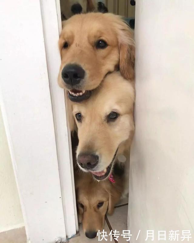 疗养院是干什么的