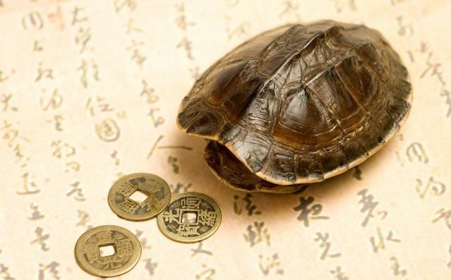 婆婆从乡下来照顾怀孕的我,半个月后我果断回