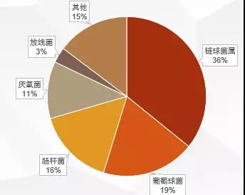 一文了解:细菌性脑脓肿的诊治