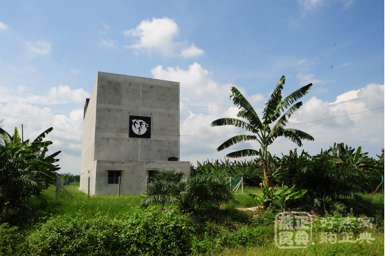 什么牌子燕窝好?正典成最受欢迎燕窝品牌_36