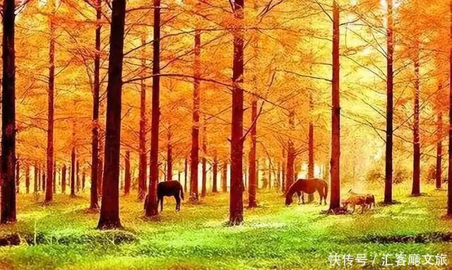 北纬30°上又一个神秘仙境，凭什么惊艳世界？