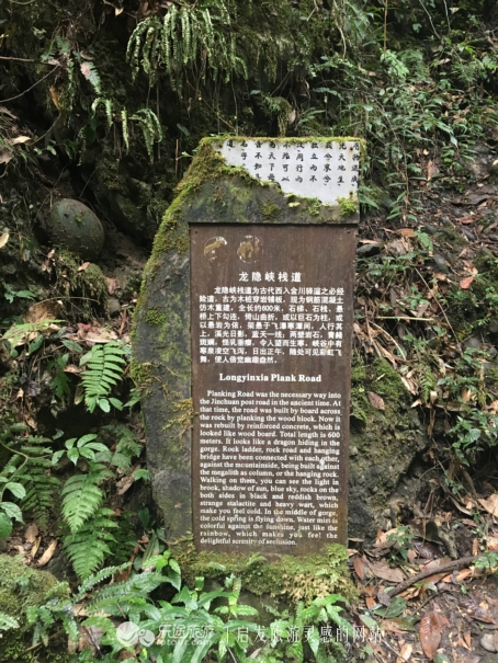 青城后山，没进都江堰的都江堰之旅