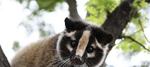 现在北京非典疫情