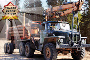 大卡车乡镇停车,大卡车乡镇停车小游戏,360小