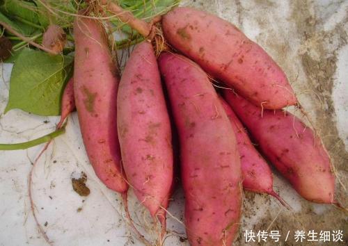 血糖偏高还能吃红薯吗?医生这么说