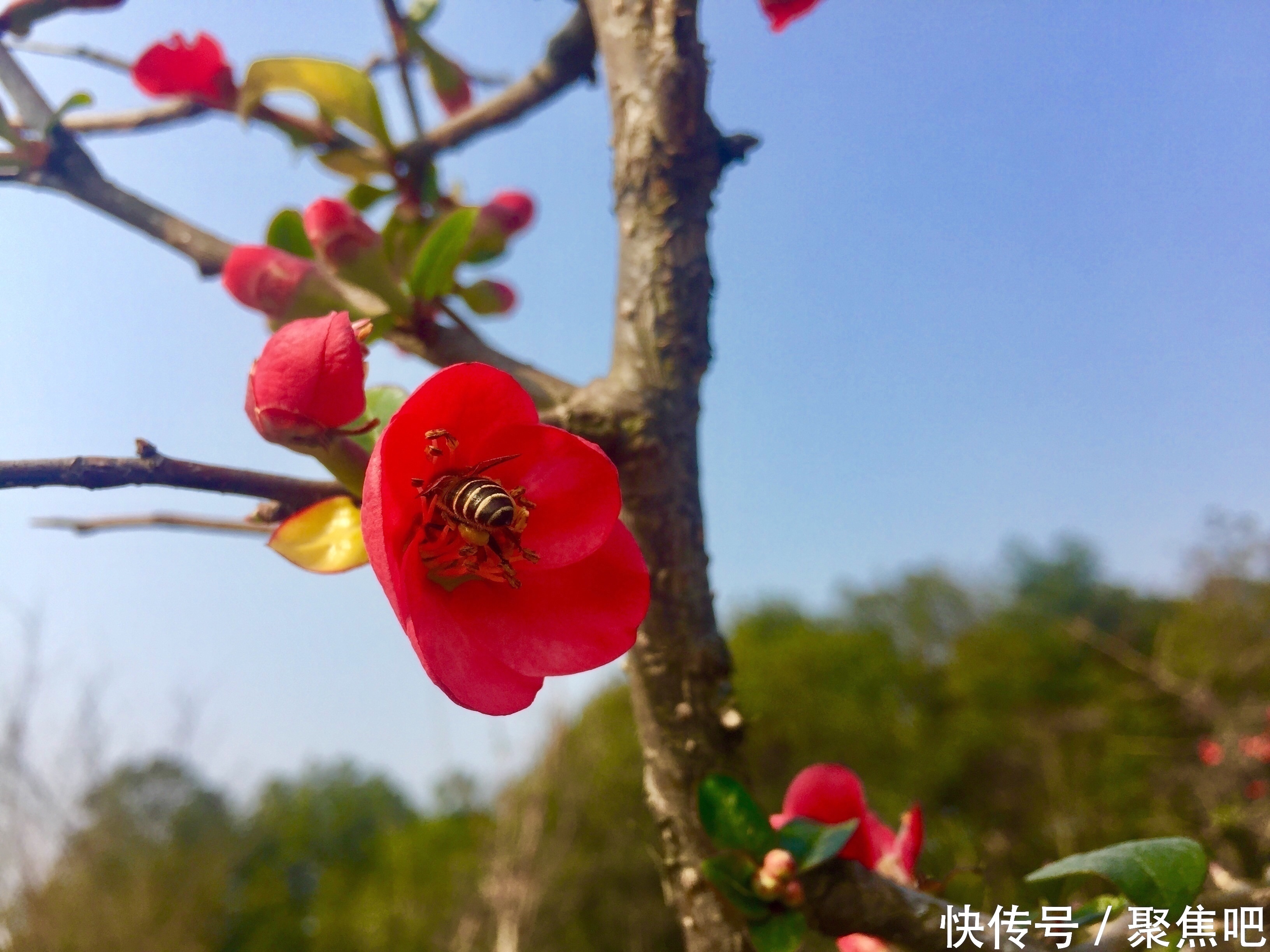 财神爷驾到,快把财神爷请回家,狗年一定发发发