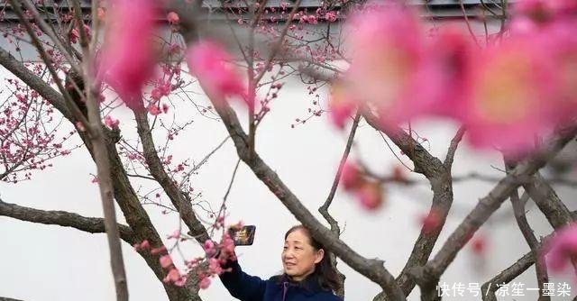 城表情|春花正好表情包爱宝宝不的图片图片