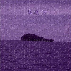 海龟汤官网免费下载_海龟汤攻略,360手机游戏