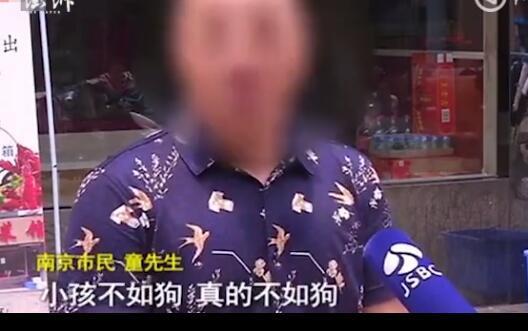 2岁儿子被咬父亲摔死泰迪犬 爱狗人士发死亡威