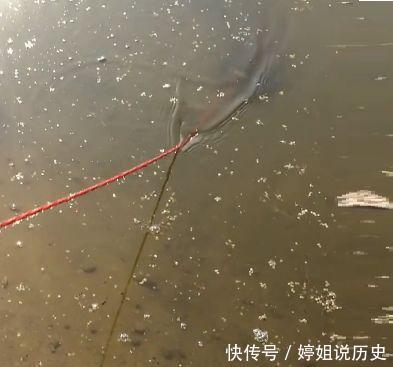 男子把强力磁铁扔进古运河里吸上一口旧箱子,