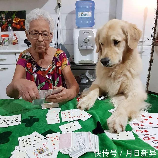 疗养院是干什么的