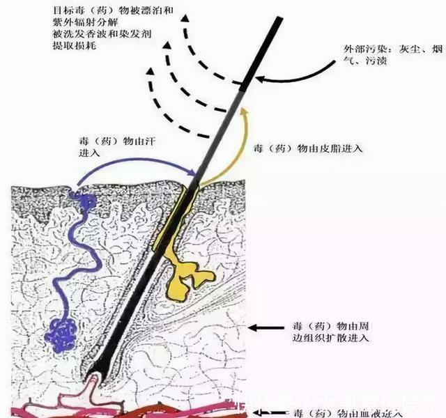 吸毒成瘾认定办法