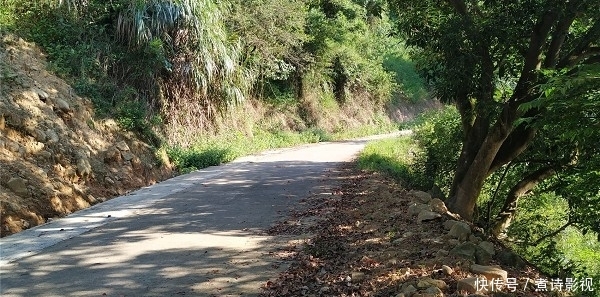 淘宝开店进货渠道