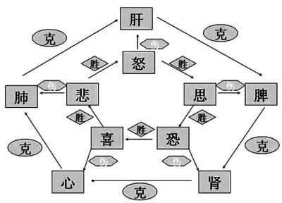 七情活动对机体生理功能起着协调作用