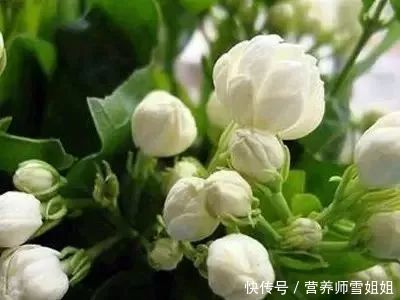 t017c931d1ef07fe627.jpg