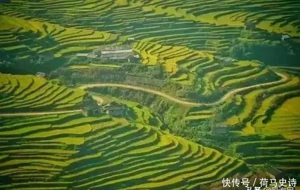 t017ca3d02e192be6b4.jpg