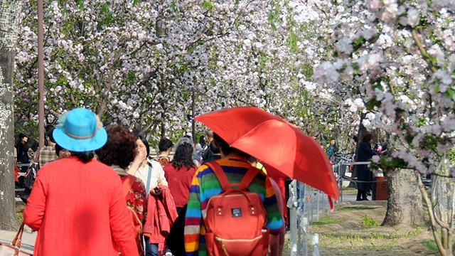 《1810我看行》20170409防晒工作很重要