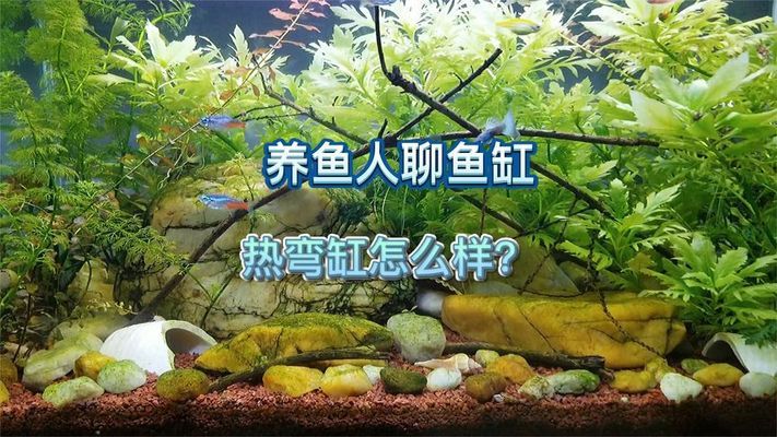 珠海買(mǎi)魚(yú)缸的地方